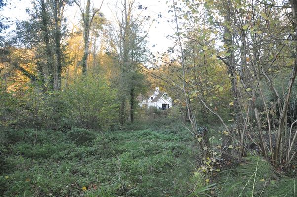 TERRAIN DE FOND ± 60,82 ares accès privé - Situé en zone d’habitat et destiné à une unifamiliale max. 250 m² bordé par un ruisseau