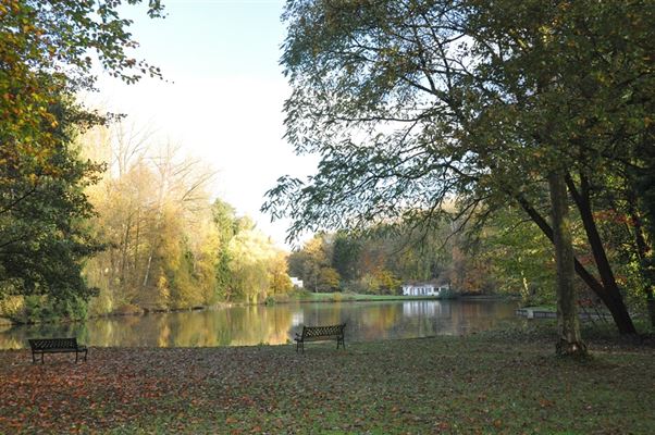 TERRAIN À BÂTIR ± 1 H 08 ares pour unifamiliale en site naturel avec Etang (partie) et Rivière et offrant une surface bâtie de 350 m² max.