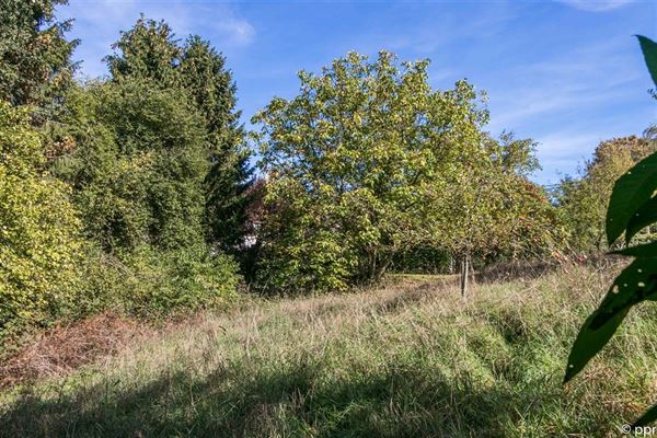 TERRAIN en zone d’habitat à front d’une voirie équipée de ± 30 ares 47 ca - Orientation S/O - Libre d’occupation - Pas d’obligation de constructeur