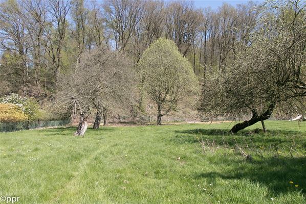 TERRAIN PLAT à bâtir Sud-Ouest de ± 7 ares 55 ca - Voirie entièrement équipée - Pour construction villa 4 façades - Façade à rue de ± 21 mètres