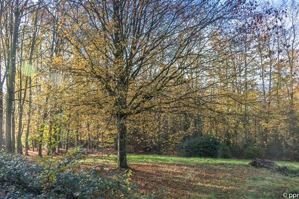 TERRAIN A BÂTIR (lot 3) ± 16,61 ares  (allée privée) - destiné à construction habitation unifamiliale mitoyenne - Poss. profession libérale