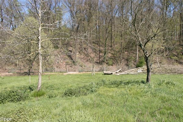 TERRAIN PLAT à bâtir Sud-Ouest de ± 8 ares 27 ca - Voirie entièrement équipée - Pour construction villa 4 façades - Façade à rue de ± 21 mètres