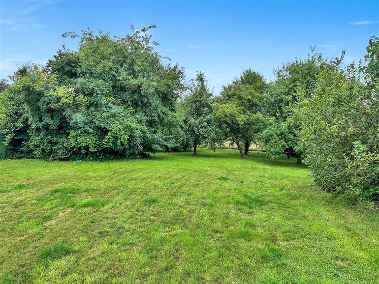 3 ch, Garage, Caves, Grand Jardin SO