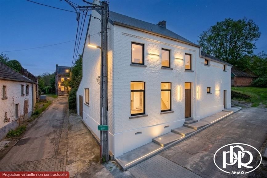 Village house