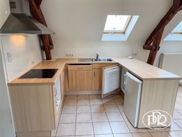 Cadre verdoyant et calme, 1 parking  - GREZ-DOICEAU