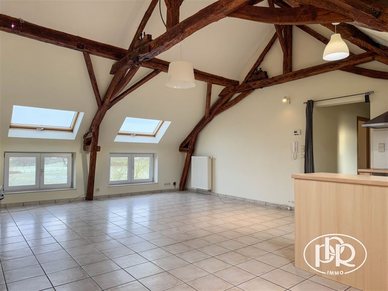 Cadre verdoyant et calme, 1 parking