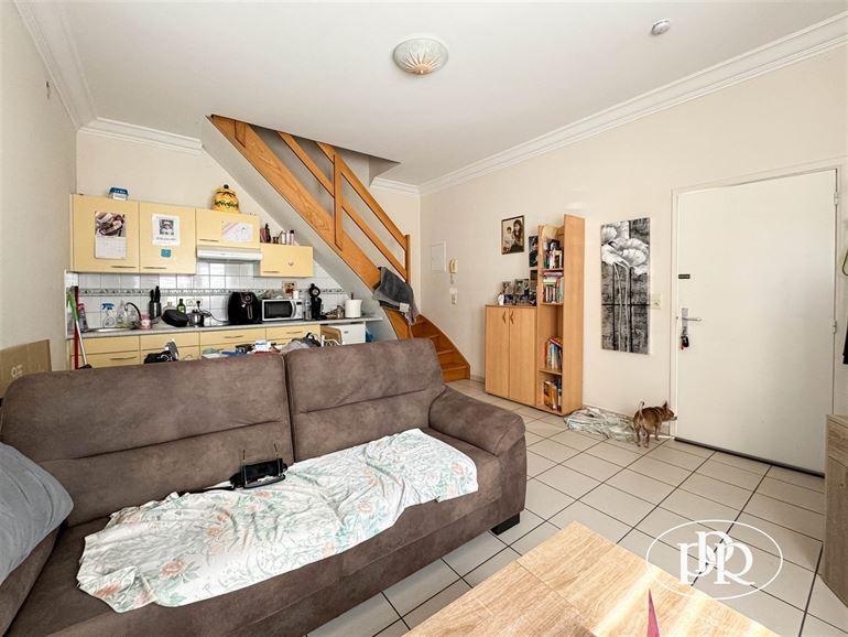 Élec. CONFORME, cave et droits enregistrement 3 %