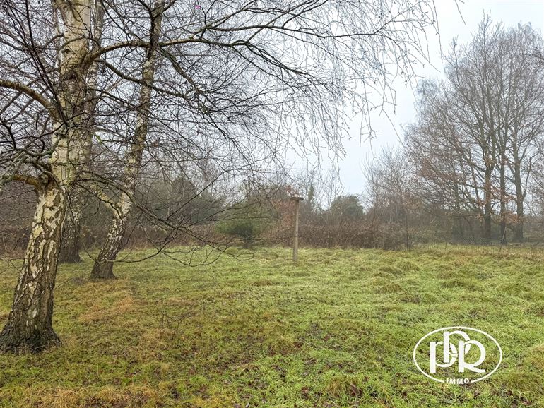 Campagne, rue calme, possibilité aménager appartement