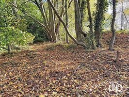 Sud-ouest, constrcution 4 façades - WAVRE