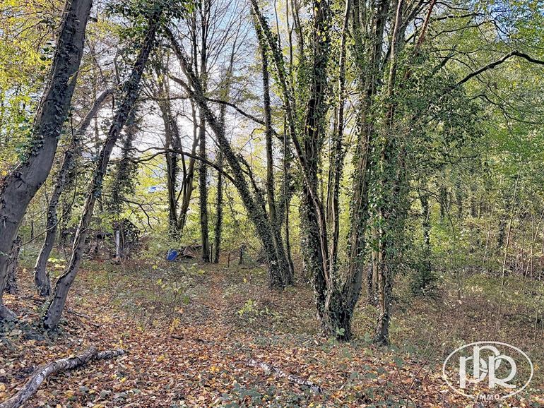 Sud-ouest, constrcution 4 façades