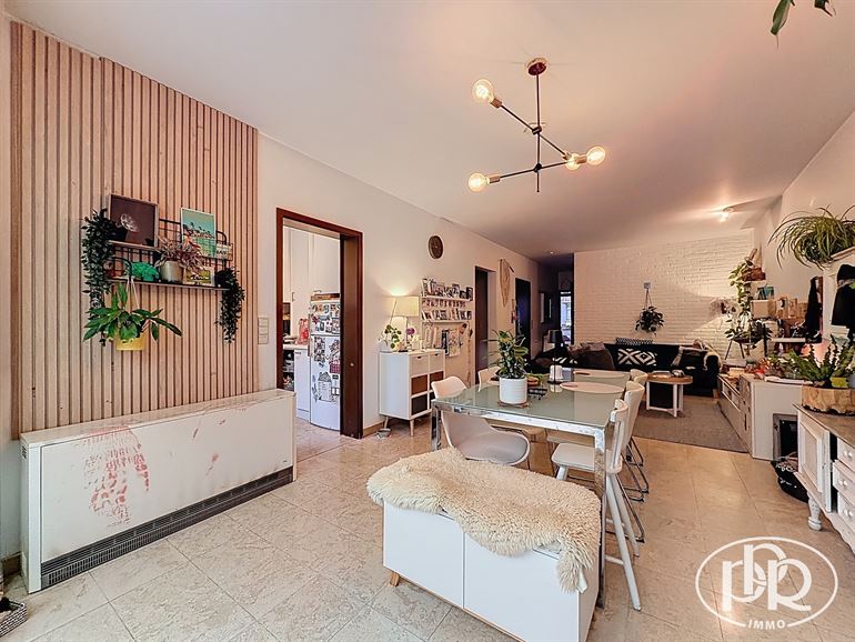 South-facing veranda, terrace & garden!
