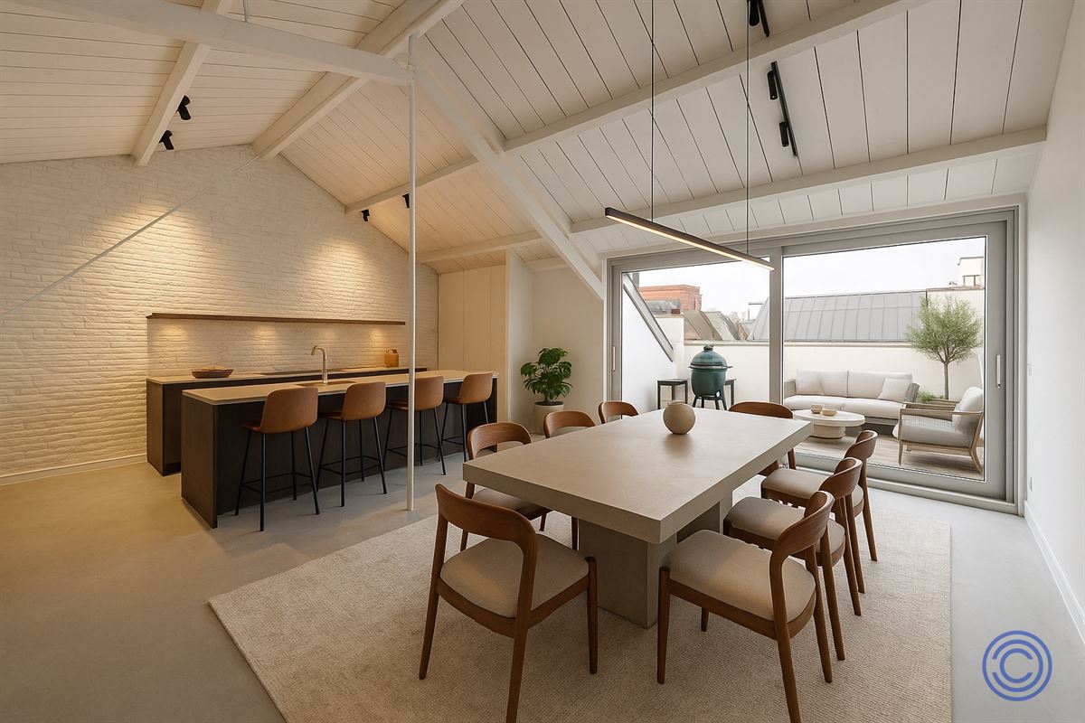 Energiezuinige loft ca.173 m² met terras aan MAS!