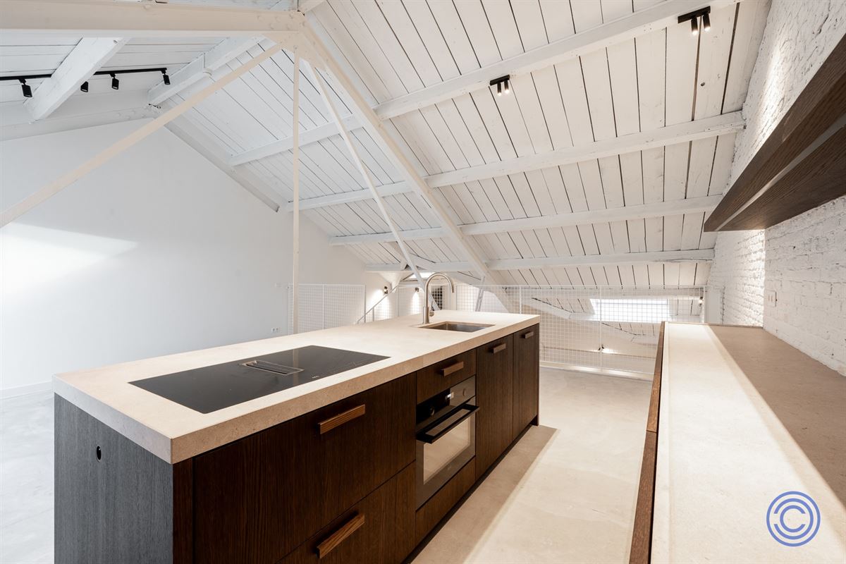 Energiezuinige loft ca.173 m² met terras aan MAS!