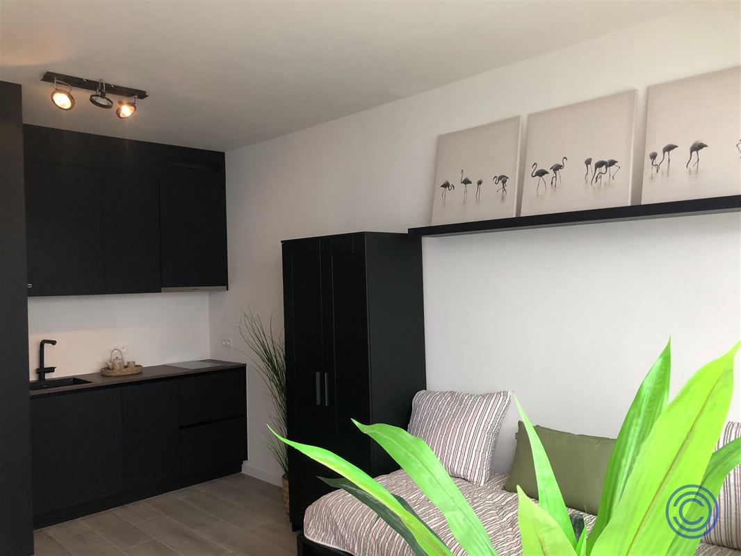 OPBRENGST:18 gerenoveerde studio's + kelder!