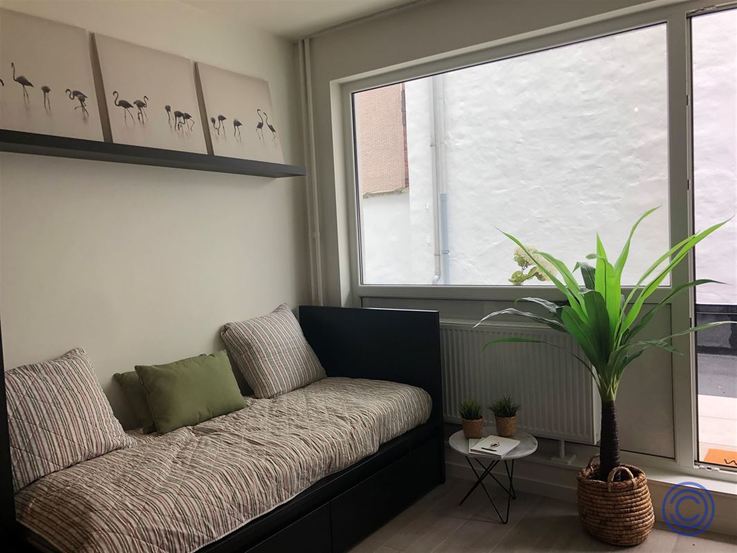 OPBRENGST:18 gerenoveerde studio's + kelder!