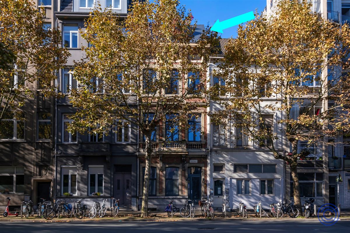 Super gezellig 1-slpk appartement in hartje Antwerpen!