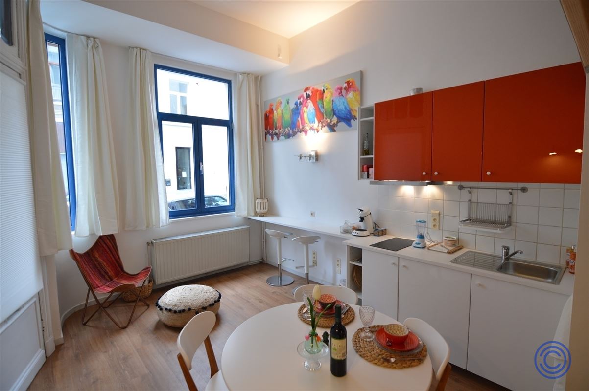 Knap gemeubeld studio -verbruik inbegrepen