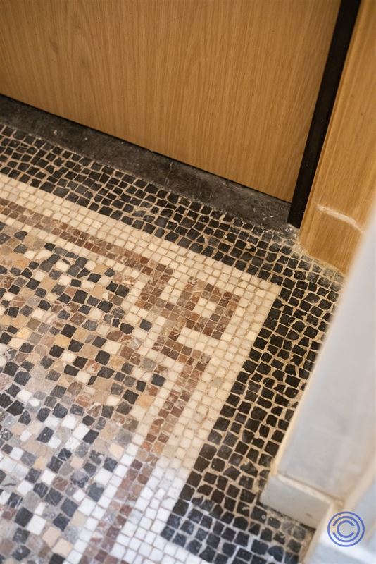 Neotraditioneel herenhuis met terras van 30m²!