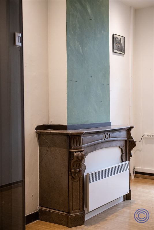 Neotraditioneel herenhuis met terras van 30m²!