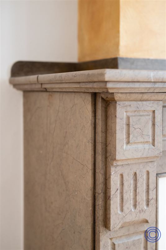 Neotraditioneel herenhuis met terras van 30m²!