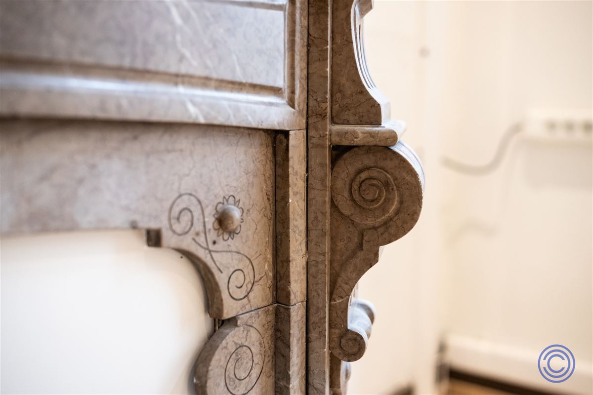 Neotraditioneel herenhuis met terras van 30m²!