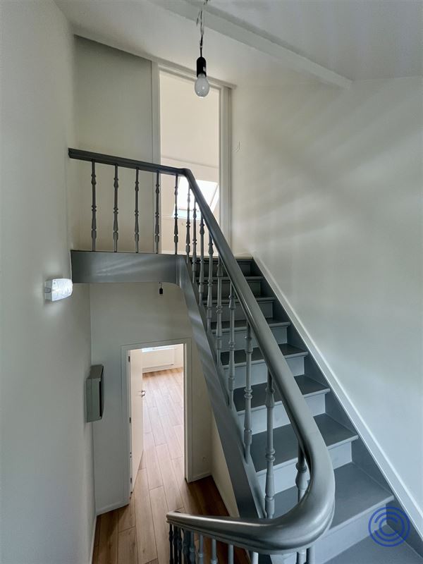 Duplex