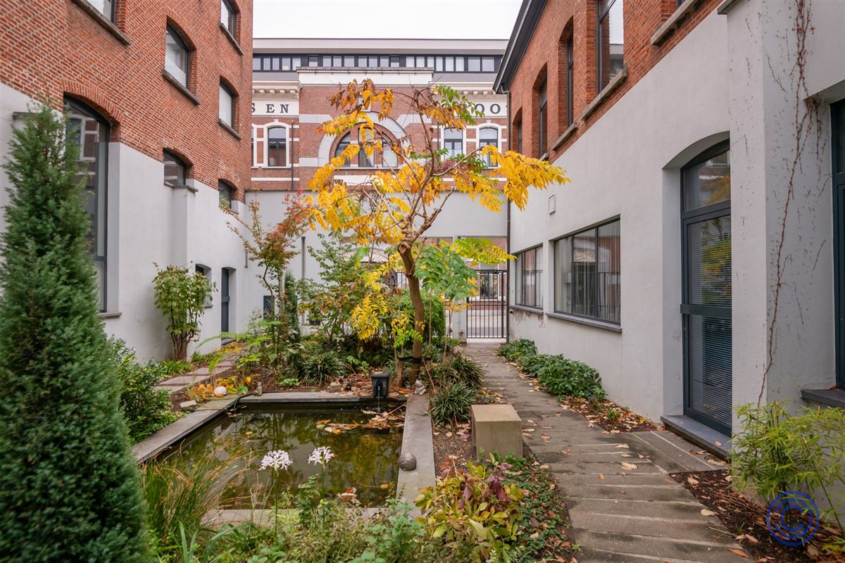 Knusse duplex in het centrum van Antwerpen!