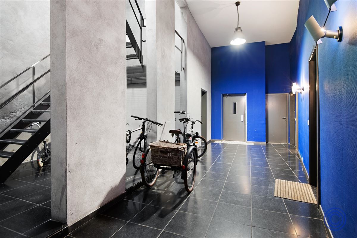 Knusse duplex in het centrum van Antwerpen!