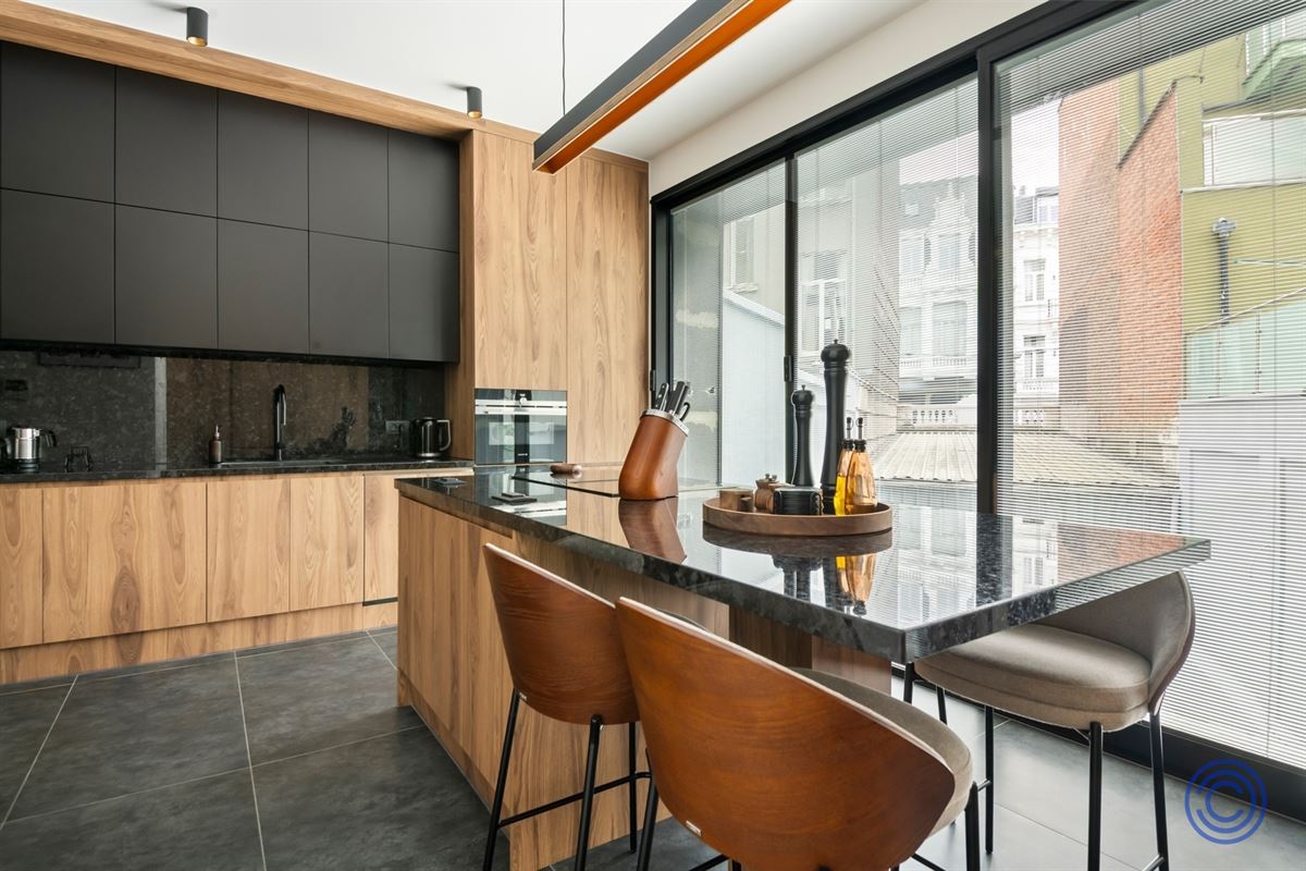 Luxurious, renovated duplex in stately mansion!