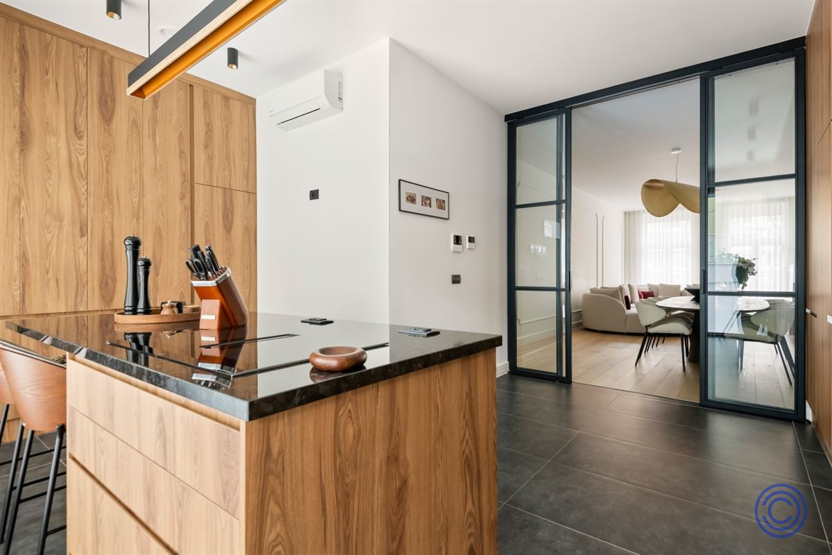 Luxurious, renovated duplex in stately mansion!