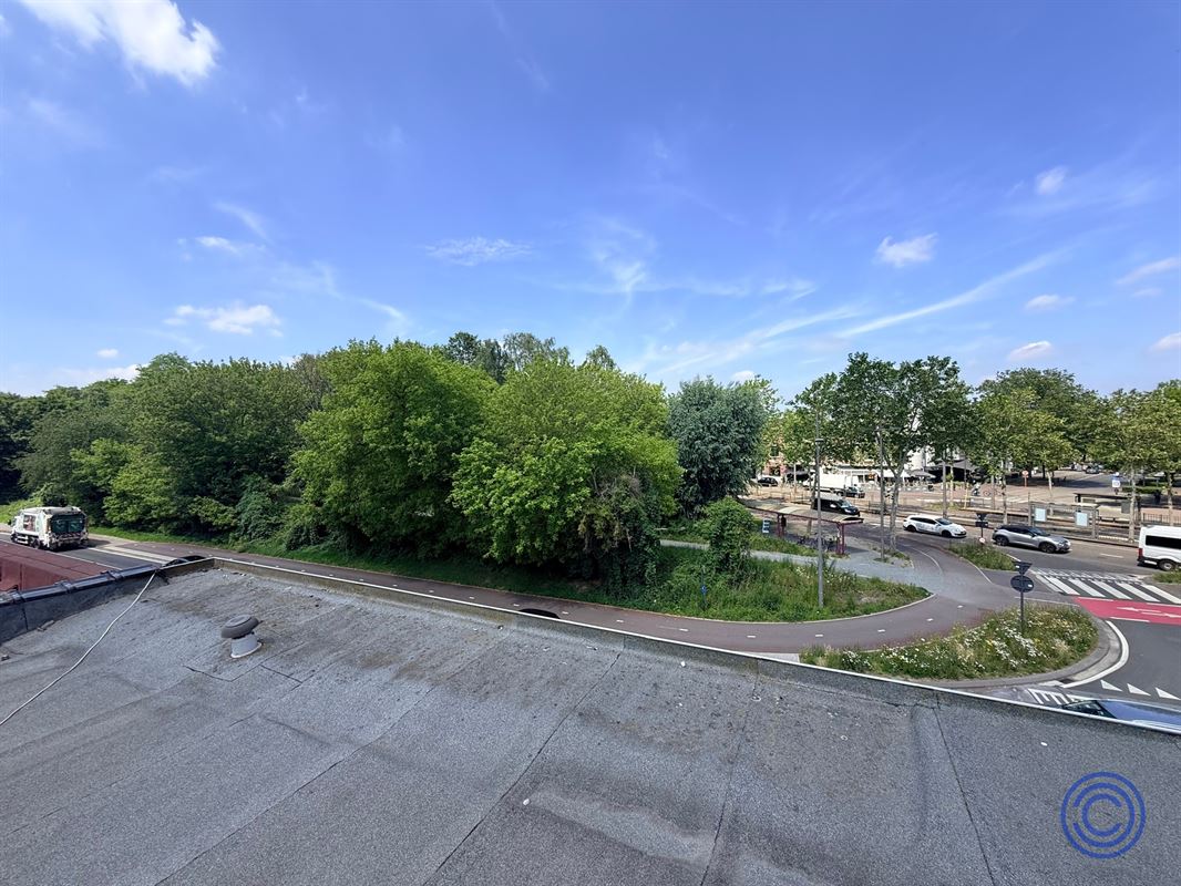 Project property with enormous potential for new construction!