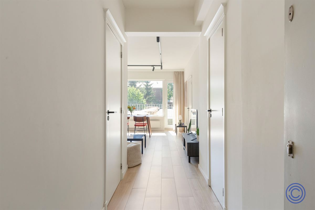 Cozy apartment with a large, sunny terrace right in the heart of the city!