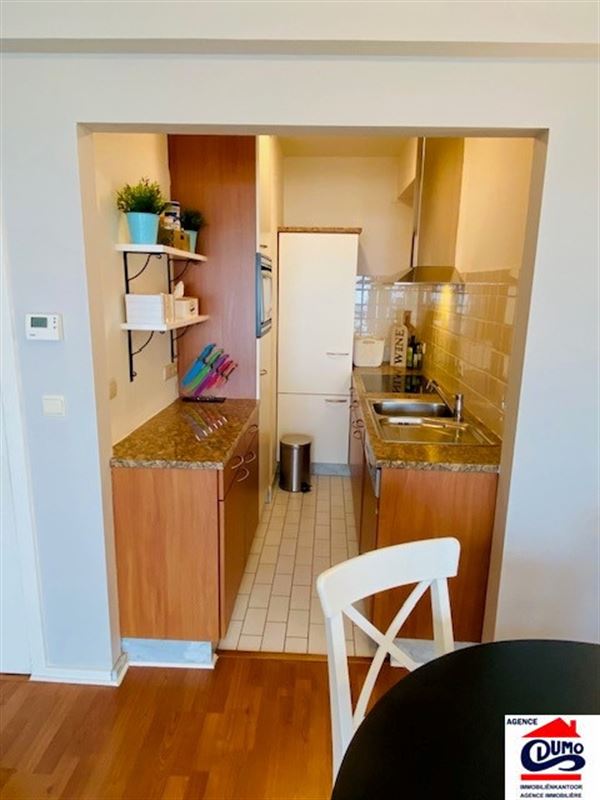 Gemeubeld appartement 2 slaapkamers met fenomenaal zeezicht!