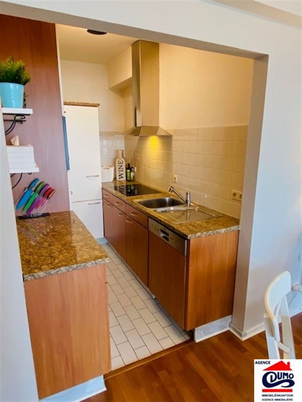 Gemeubeld appartement 2 slaapkamers met fenomenaal zeezicht!