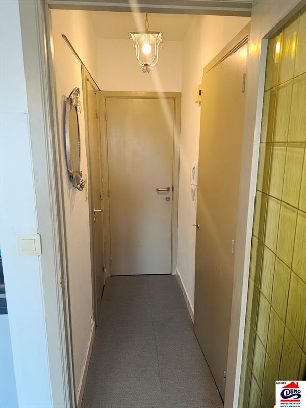 Gemeubelde studio met kelderberging