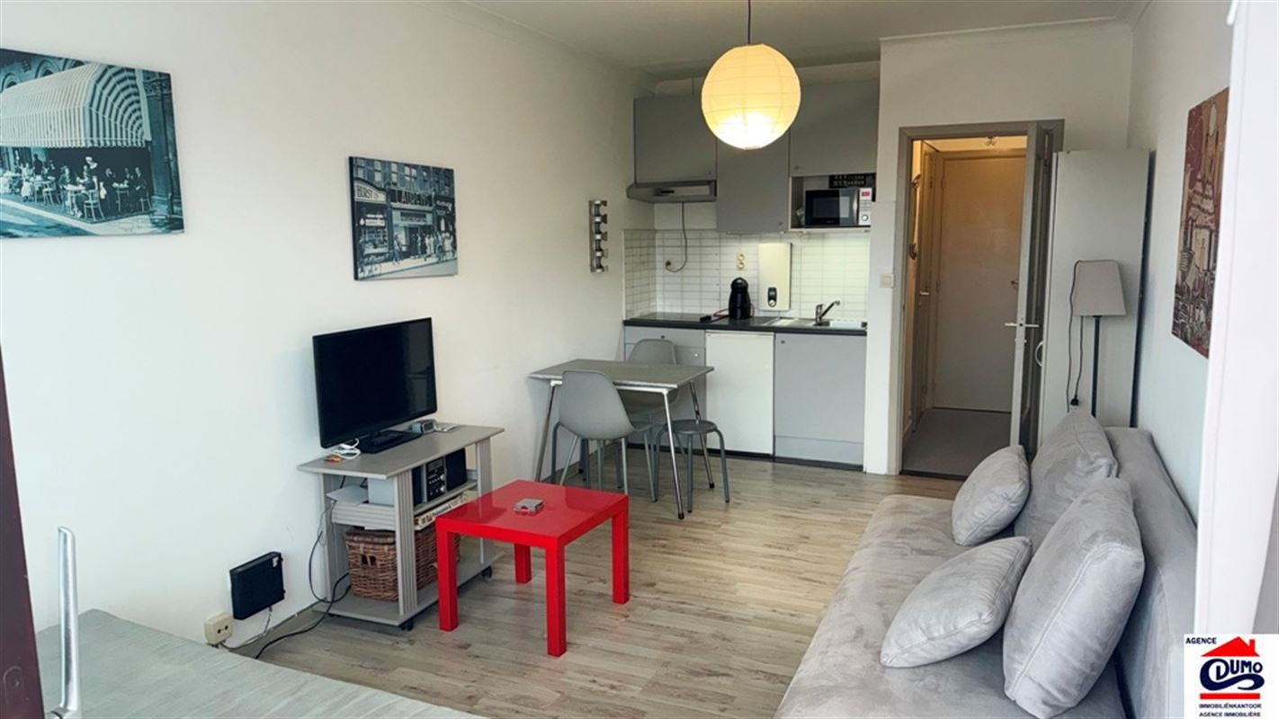Gemeubelde studio met kelderberging