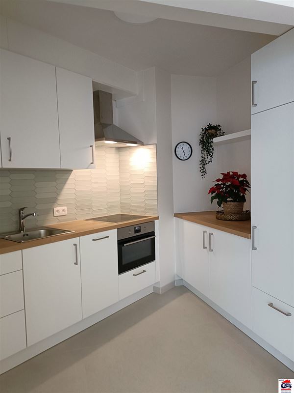 Gemeubeld appartement met 1 slaapkamer en frontaal zeezicht