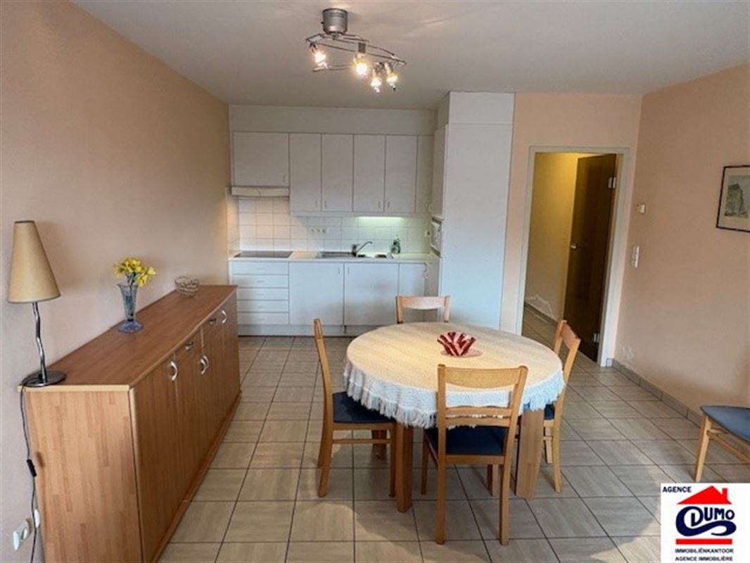 Heel ruim gemeubeld appartement met lateraal zeezicht