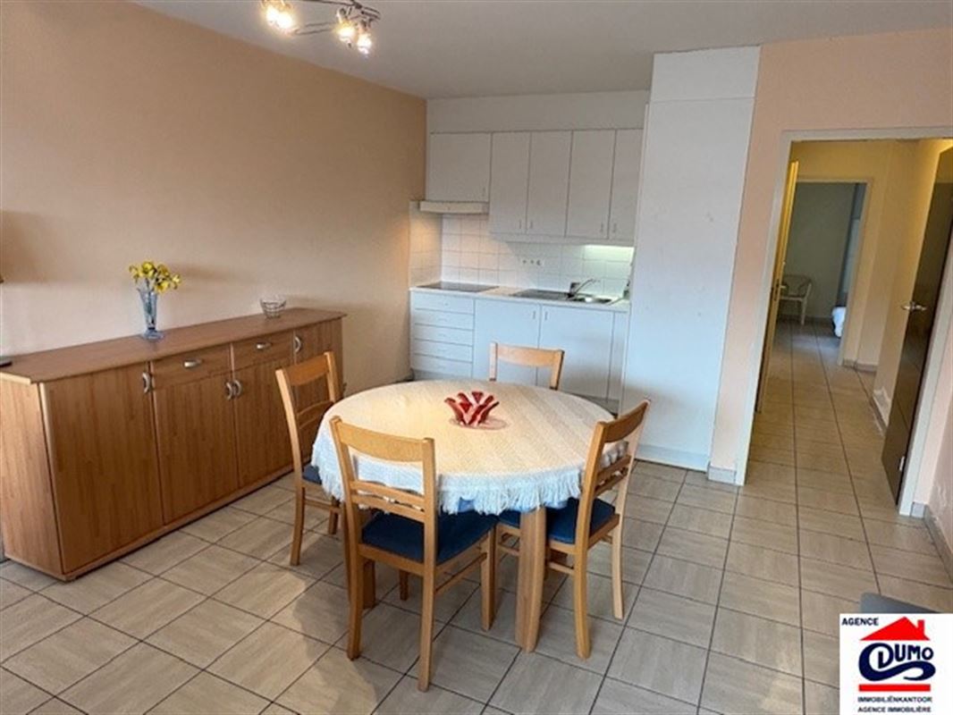 Heel ruim gemeubeld appartement met lateraal zeezicht