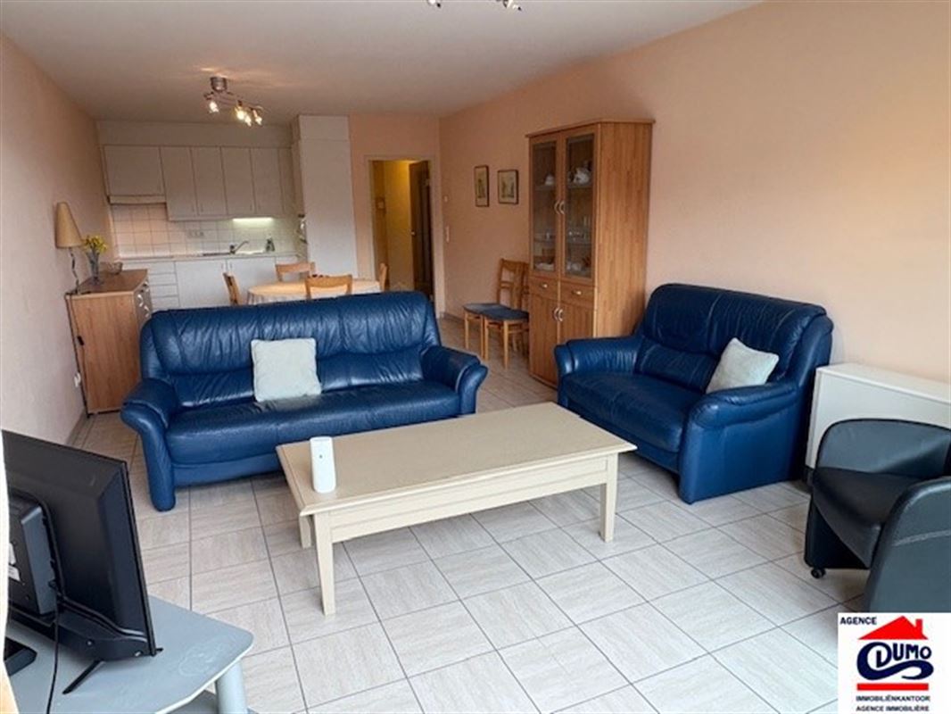 Heel ruim gemeubeld appartement met lateraal zeezicht