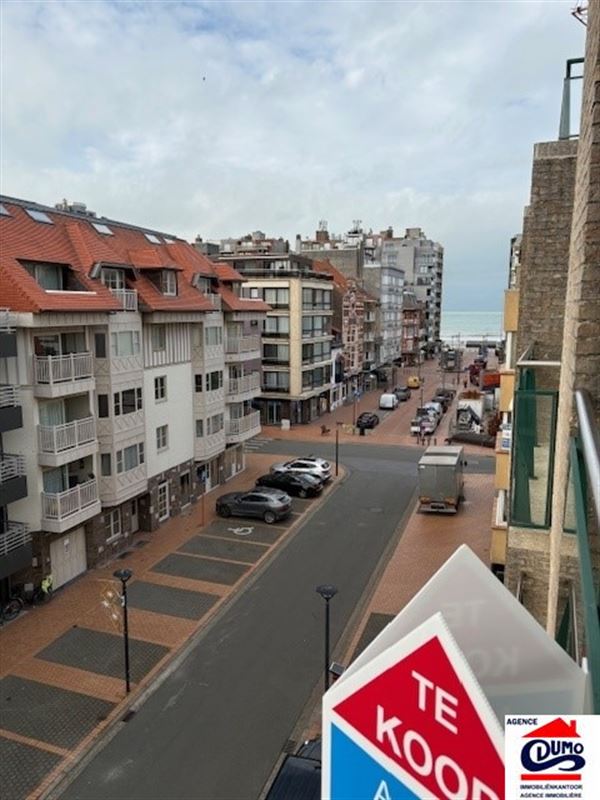 Heel ruim gemeubeld appartement met lateraal zeezicht