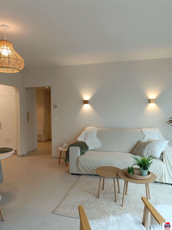 Gemeubeld appartement met 1 slaapkamer en frontaal zeezicht