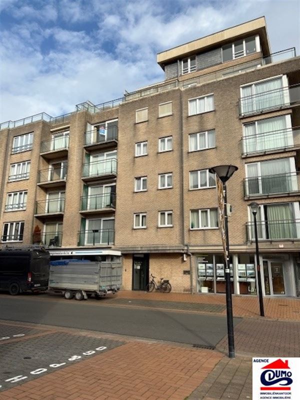 Heel ruim gemeubeld appartement met lateraal zeezicht