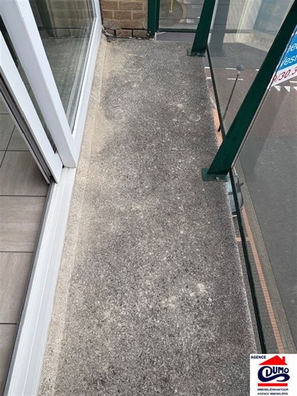 Heel ruim gemeubeld appartement met lateraal zeezicht