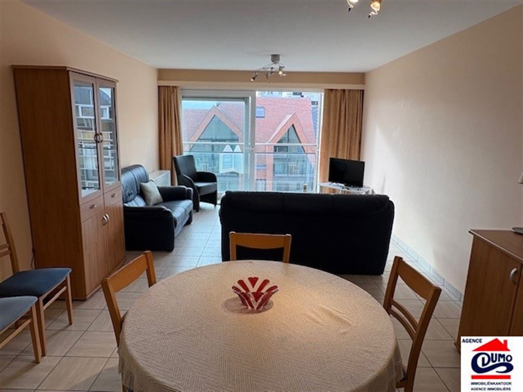 Heel ruim gemeubeld appartement met lateraal zeezicht