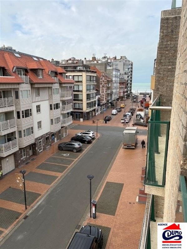 Heel ruim gemeubeld appartement met lateraal zeezicht