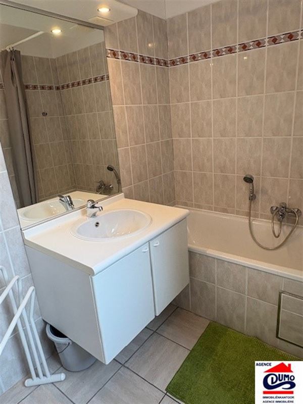 Heel ruim gemeubeld appartement met lateraal zeezicht