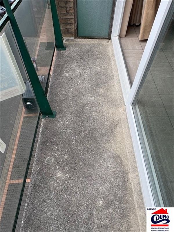 Heel ruim gemeubeld appartement met lateraal zeezicht