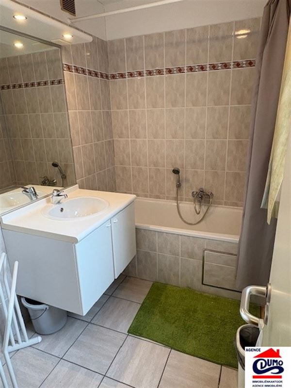 Heel ruim gemeubeld appartement met lateraal zeezicht