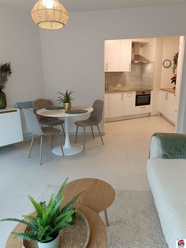 Gemeubeld appartement met 1 slaapkamer en frontaal zeezicht